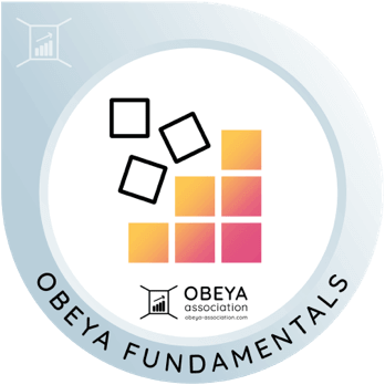 Obeya Fundamentals training